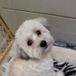 Meet your Posher, Maritza